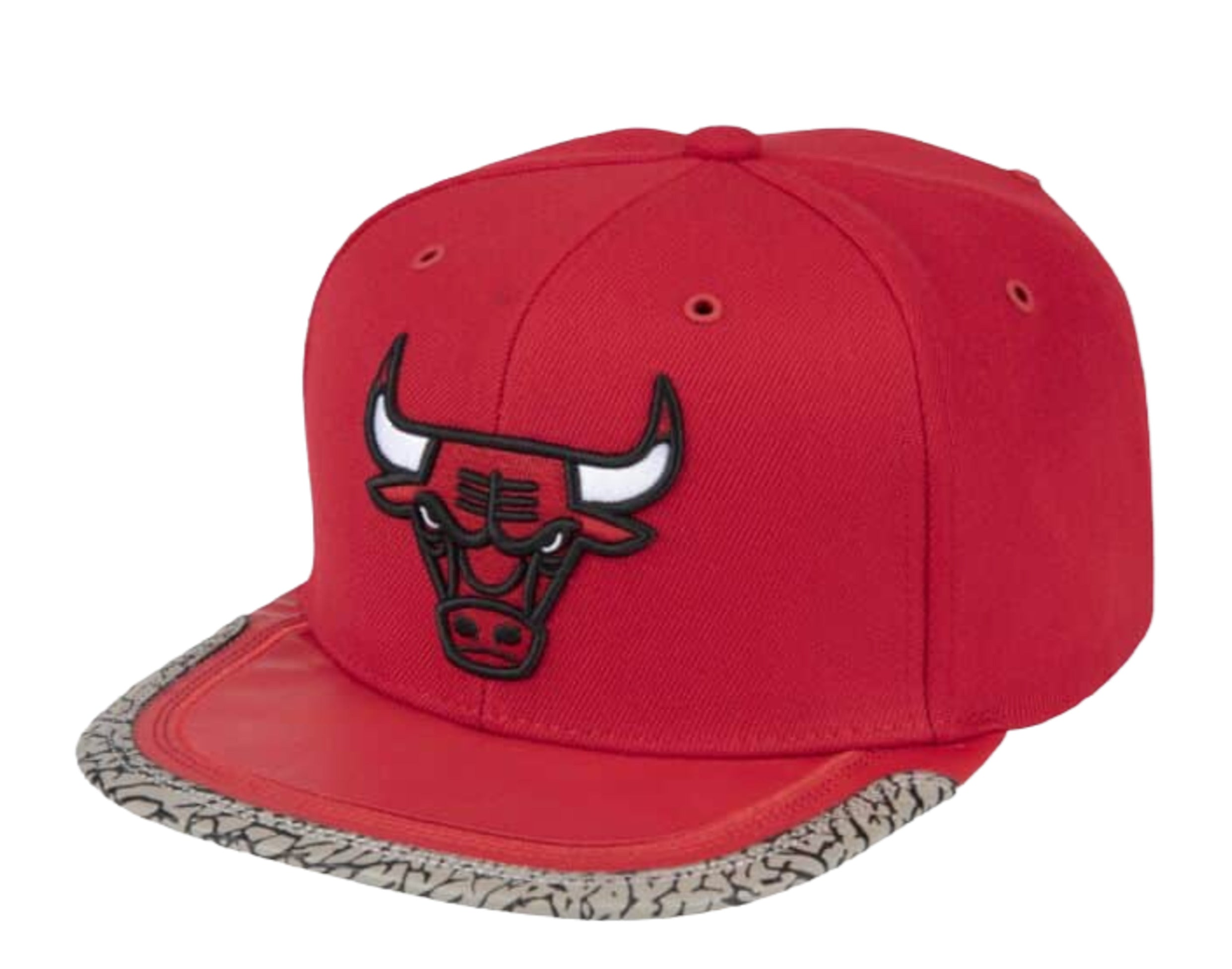 Day One Snap Bulls Cap by Mitchell & Ness