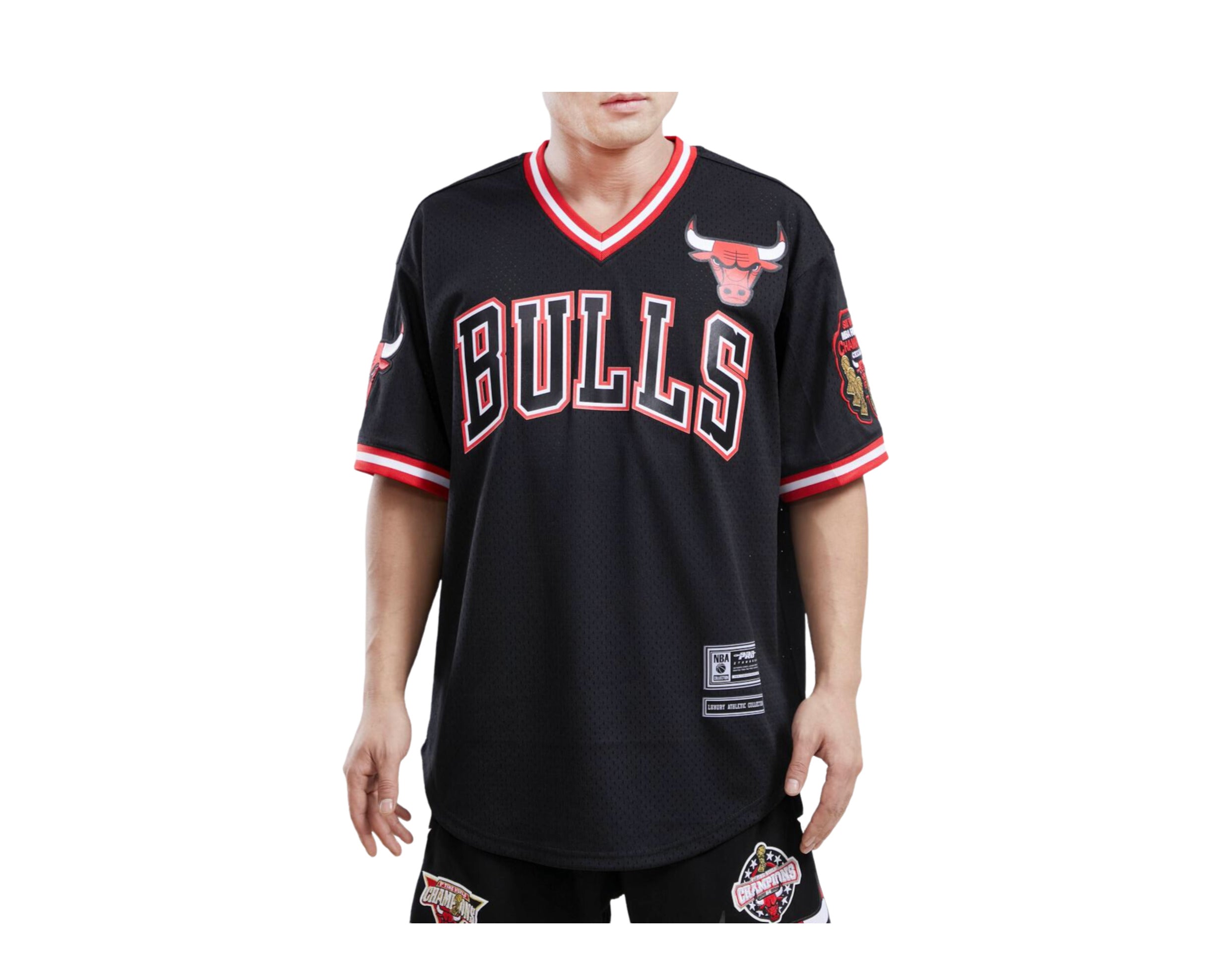 Pro Standard Men's Chicago Bulls Cityscape Stacked Logo T-Shirt