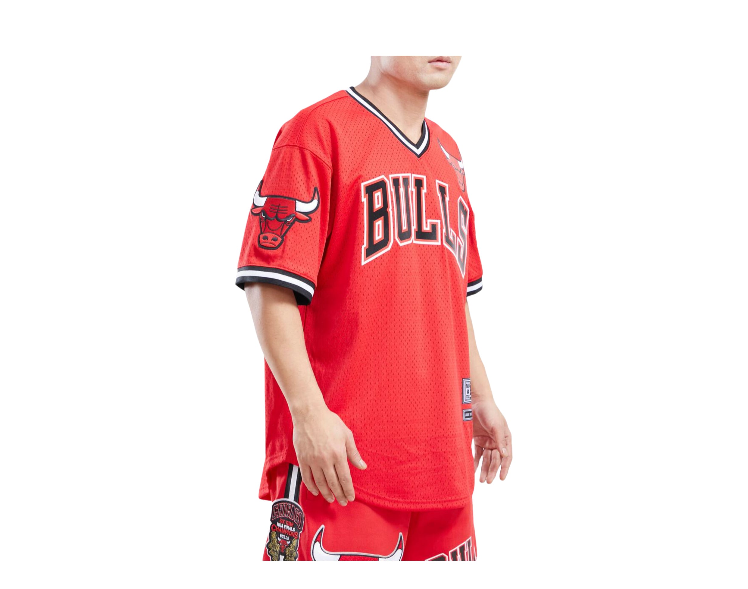 Pro Standard NBA Chicago Bulls Logo Pro Team Short Sleeve Mesh Shirt