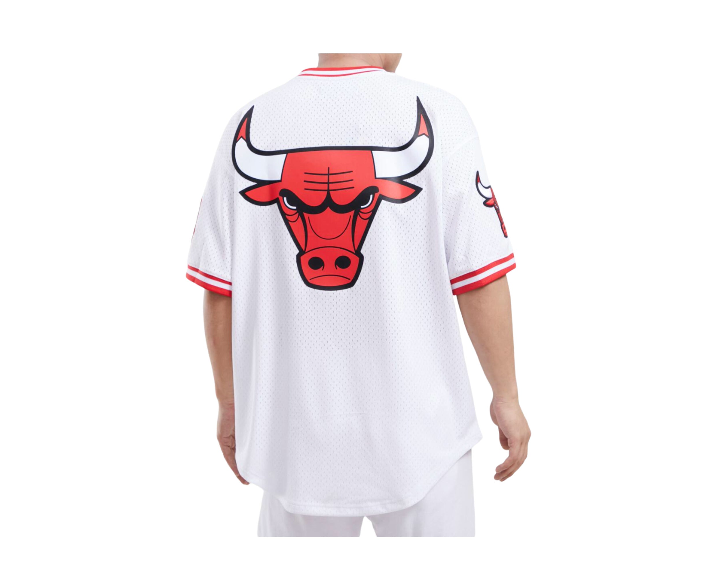 Pro Standard NBA Chicago Bulls Logo Pro Team Short Sleeve Mesh Shirt