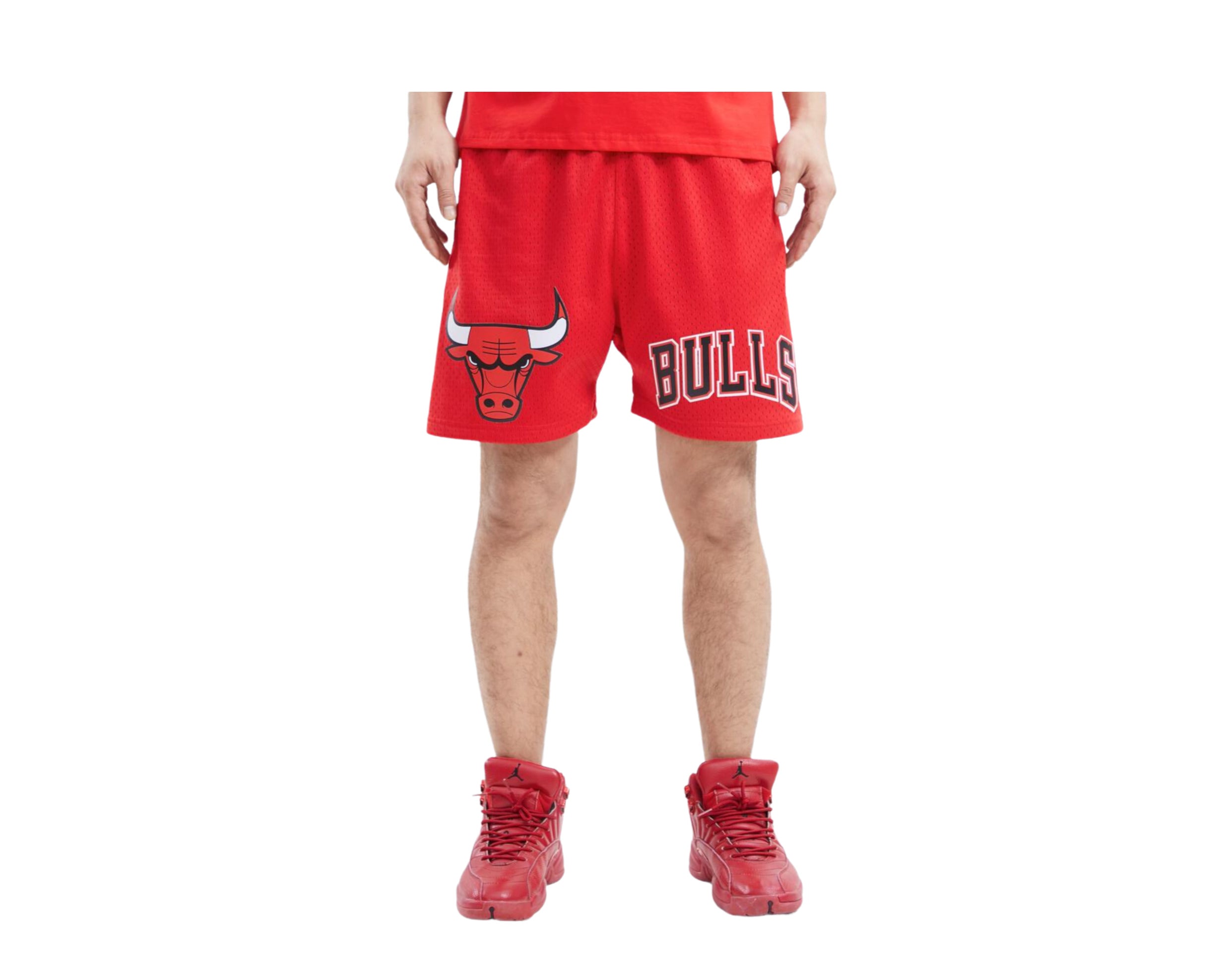 Pro Standard NBA Chicago Bulls Logo Pro Team Mesh Shorts