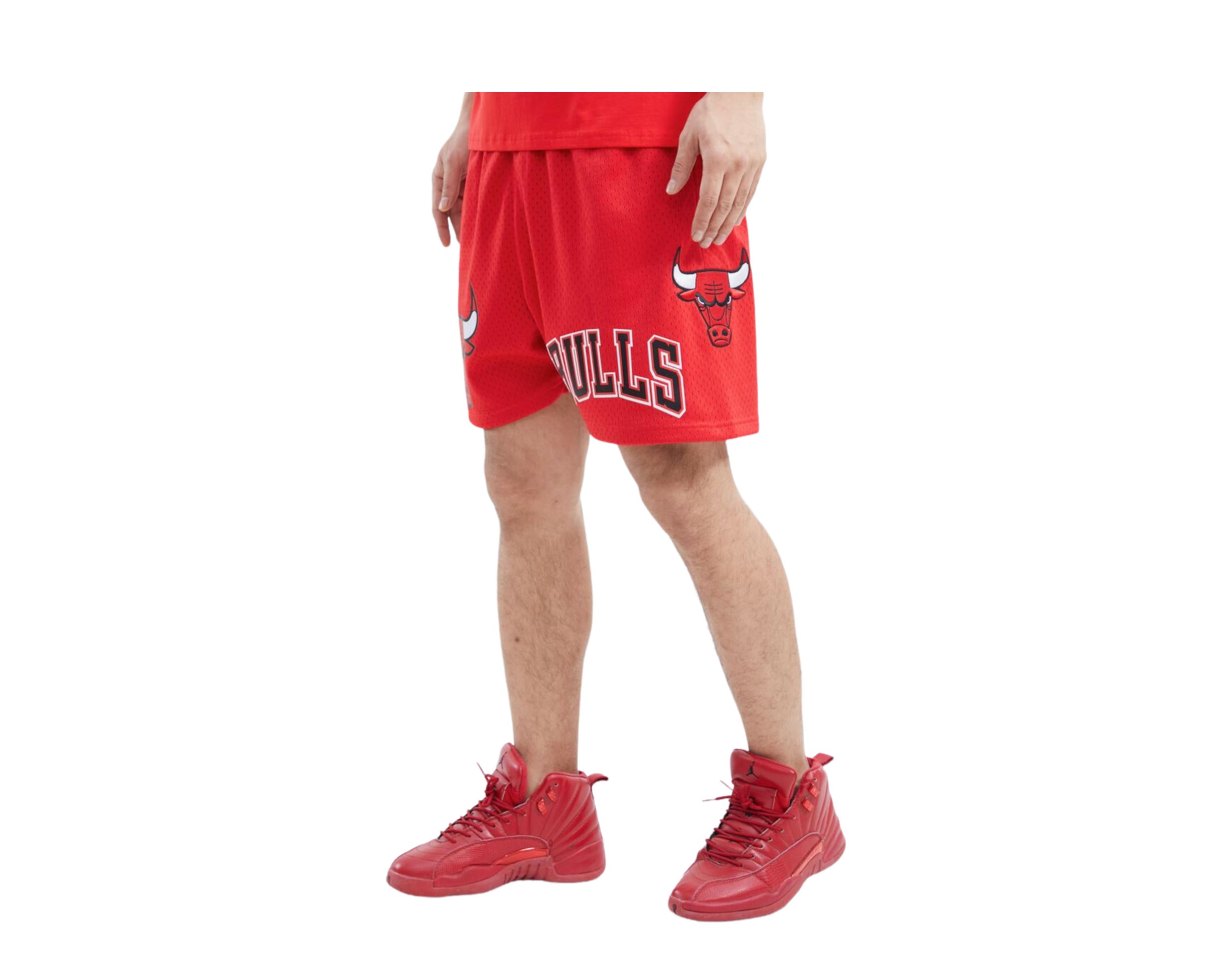Chicago Bulls Pro Standard Chenille Team Fleece Shorts - Red