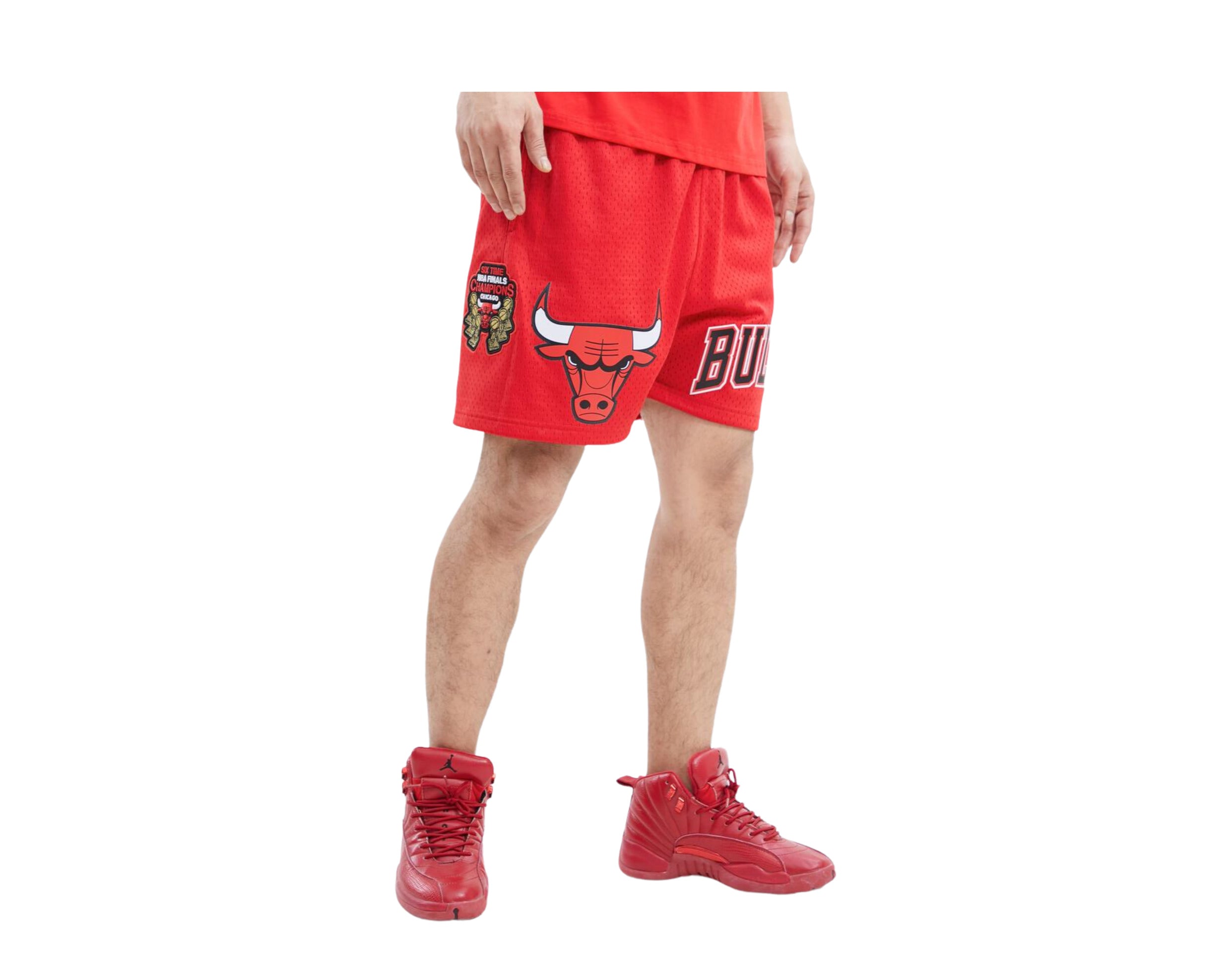 Pro Standard NBA Chicago Bulls Logo Pro Team Mesh Shorts