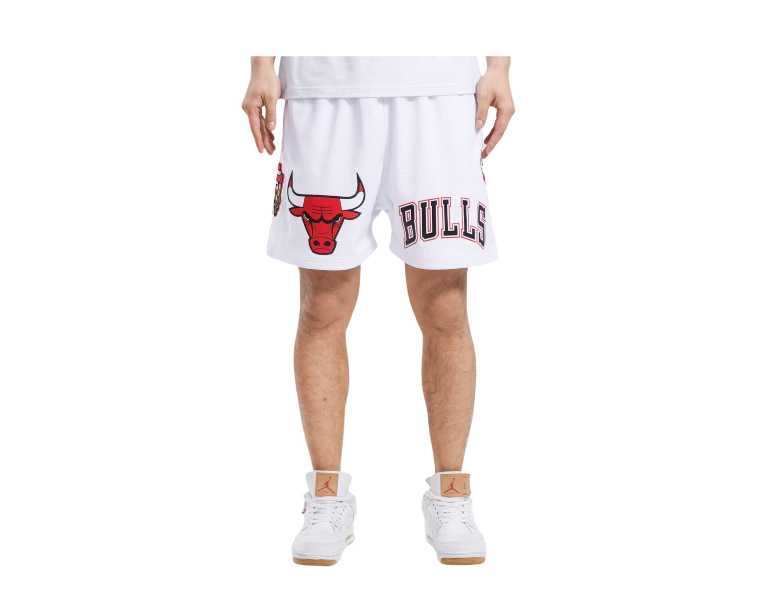 Pro Standard NBA Chicago Bulls Logo Pro Team Mesh Shorts