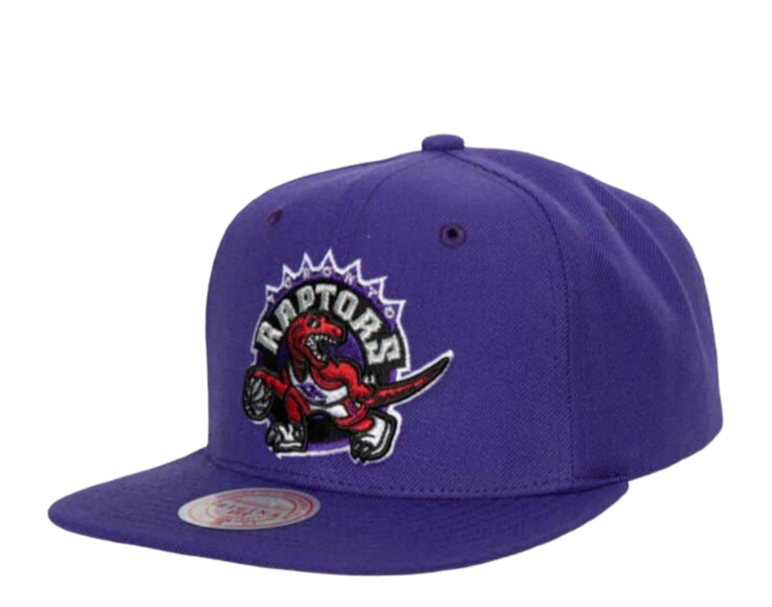 Mitchell & Ness NBA Toronto Raptors Team Ground 2.0 HWC Snapback Hat