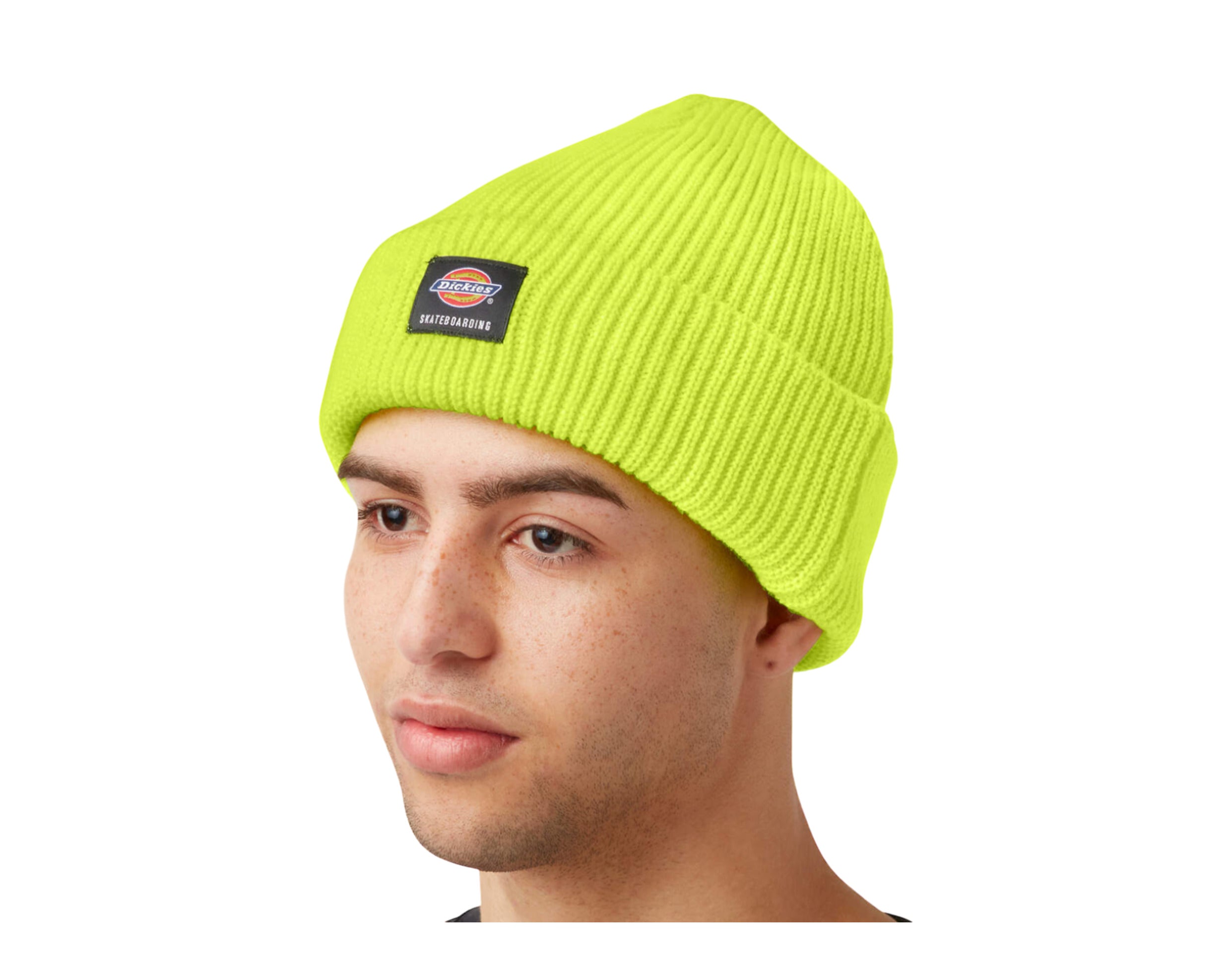 Dickies Skateboarding Cuffed Beanie